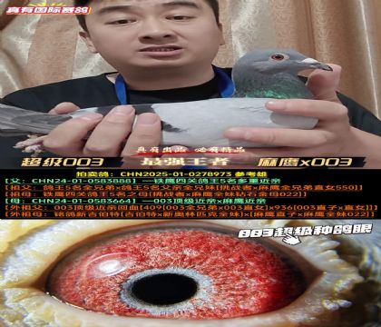 ������003����ӥx����ƥ��003