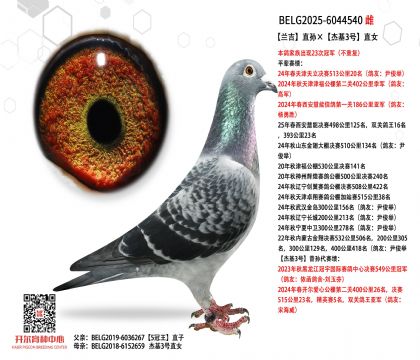 4.ĸ��BELG2025-6044540