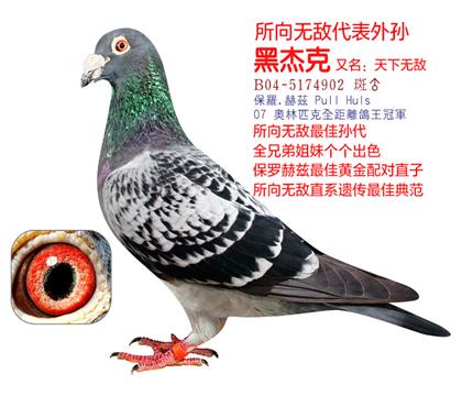 �ڽܿ�