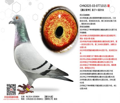 3-����0771015