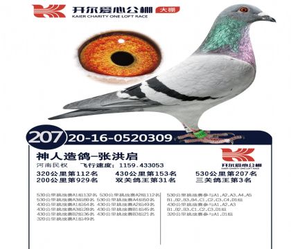3����-0520309