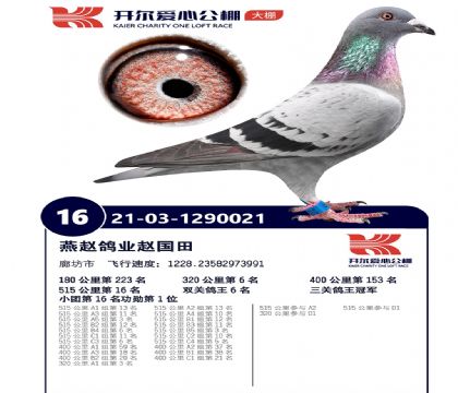 4-ĸ��-1290021