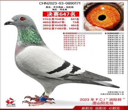 4ĸ��-0890171