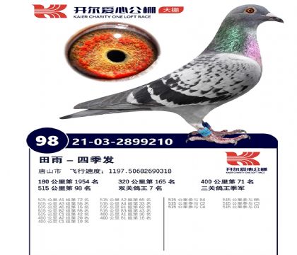 4-ĸ��2899210