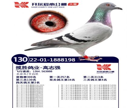 4ĸ��-1888198