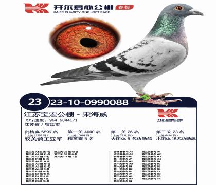 4ĸ��-0990088