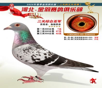 ����������ֲ����ظ����Ǿ�
