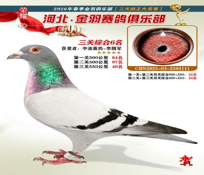����������ֲ����ظ���6��