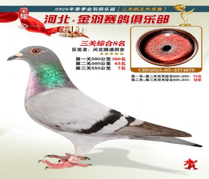 ����������ֲ����ظ���8��
