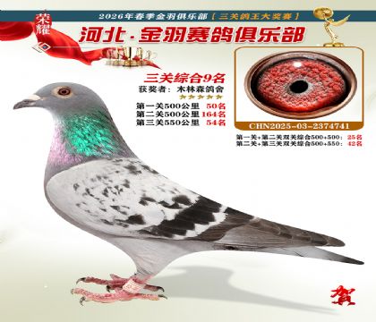 ����������ֲ����ظ���9��