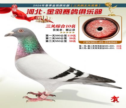 ����������ֲ����ظ���10��
