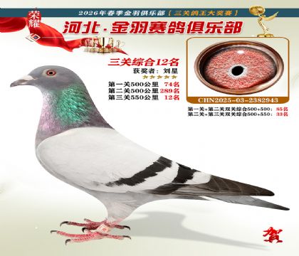 ����������ֲ����ظ���12��