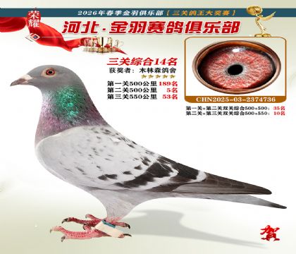 ����������ֲ����ظ���14��