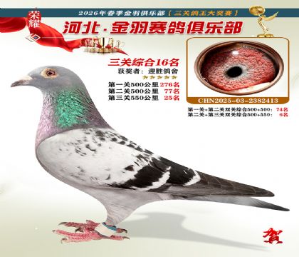 ����������ֲ����ظ���16��