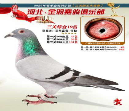 ����������ֲ����ظ���19��