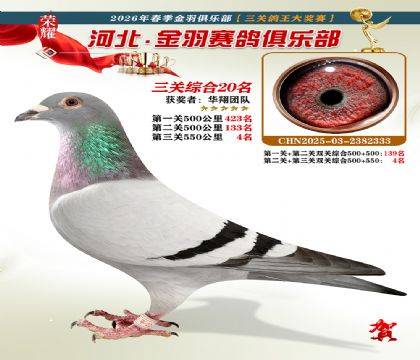 ����������ֲ����ظ���20��