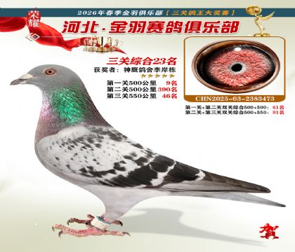 ����������ֲ����ظ���23��