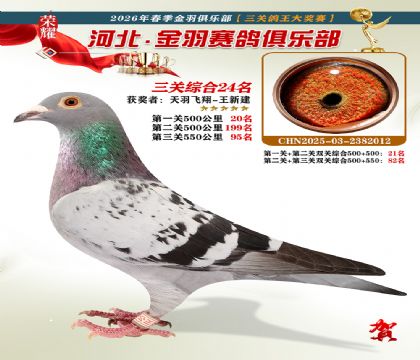 ����������ֲ����ظ���24��