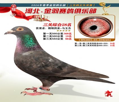 ����������ֲ����ظ���28��