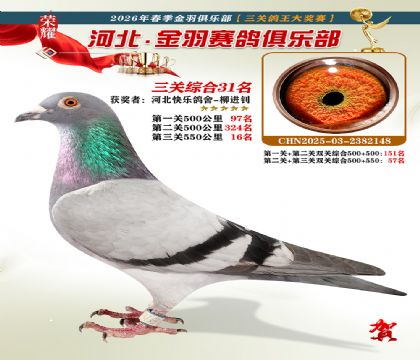 ����������ֲ����ظ���31��