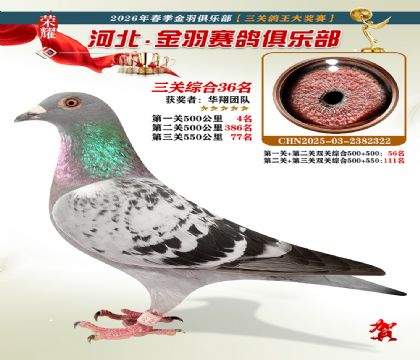 ����������ֲ����ظ���36��