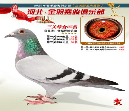 ����������ֲ����ظ���37��