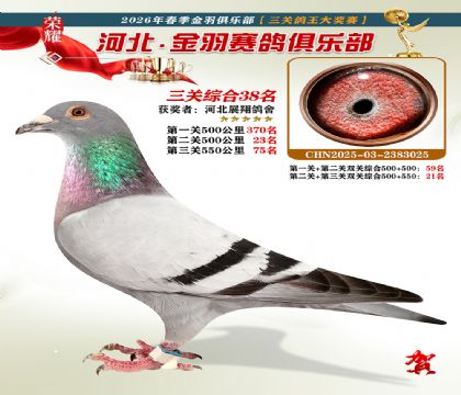 ����������ֲ����ظ���38��