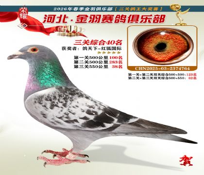 ����������ֲ����ظ���40��