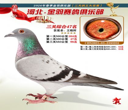 ����������ֲ����ظ���47��