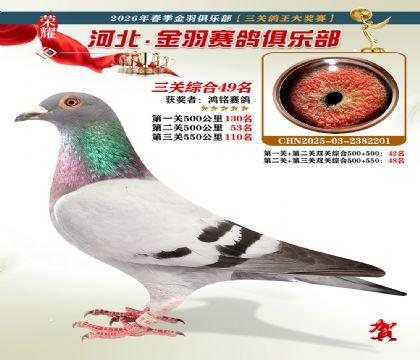 ����������ֲ����ظ���49��