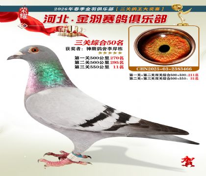 ����������ֲ����ظ���50��