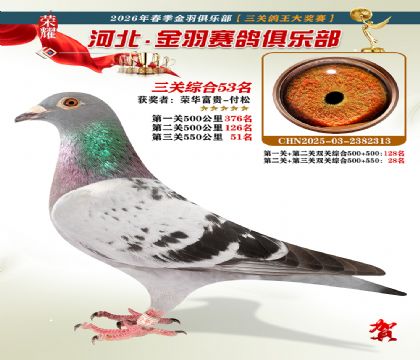����������ֲ����ظ���53��