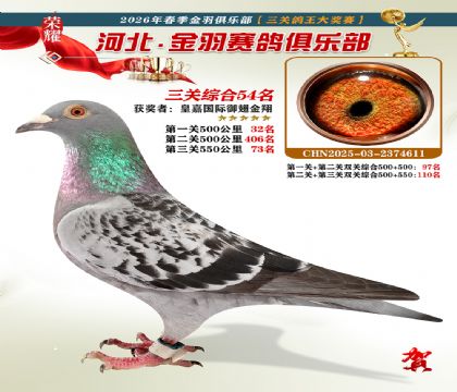 ����������ֲ����ظ���54��