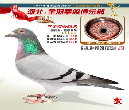 ����������ֲ����ظ���55��