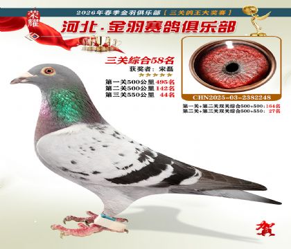 ����������ֲ����ظ���58��