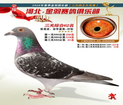 ����������ֲ����ظ���62��