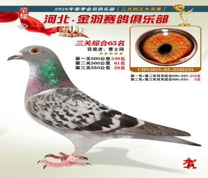 ����������ֲ����ظ���65��