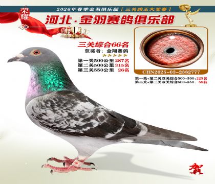 ����������ֲ����ظ���66��