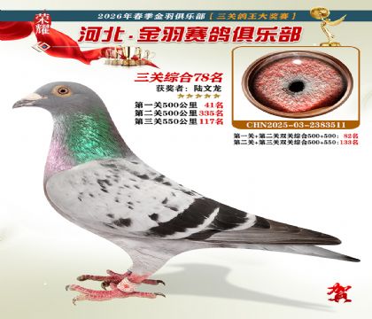 ����������ֲ����ظ���78��