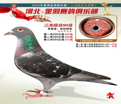 ����������ֲ����ظ���80��