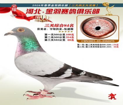 ����������ֲ����ظ���84��