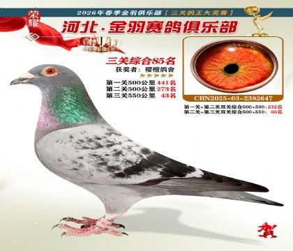 ����������ֲ����ظ���85��