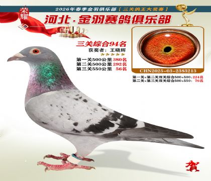 ����������ֲ����ظ���94��
