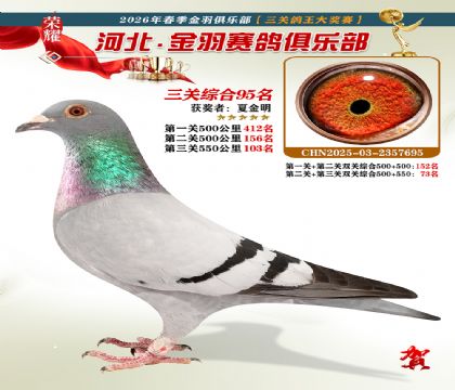 ����������ֲ����ظ���95��