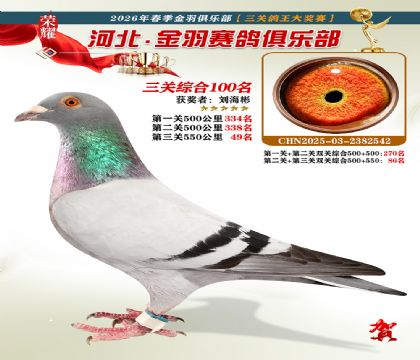 ����������ֲ����ظ���100��