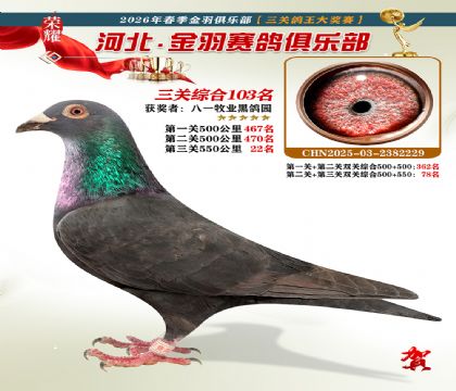 ����������ֲ����ظ���103��