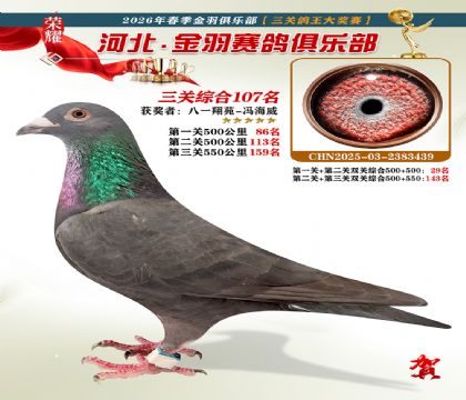 ����������ֲ����ظ���107��