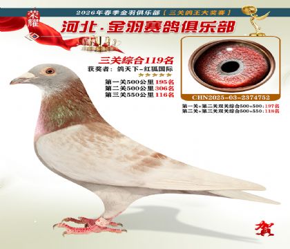 ����������ֲ����ظ���119��