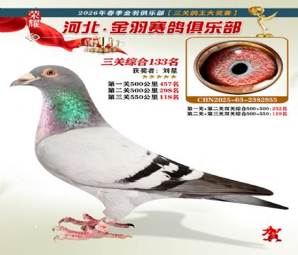����������ֲ����ظ���133��