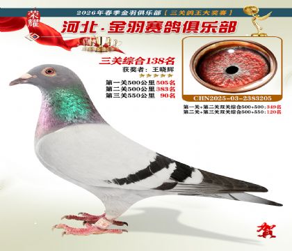 ����������ֲ����ظ���138��